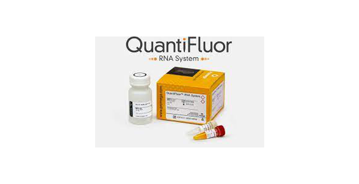 SISTEMA QUANTIFLUOR RNA E3310