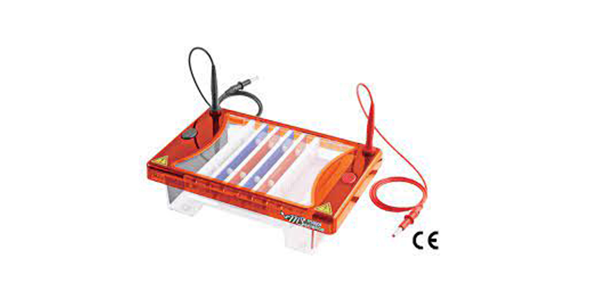 CAMARA ELECTROFORESIS HORIZONTAL Midi plus-2 ME15-7-10-15